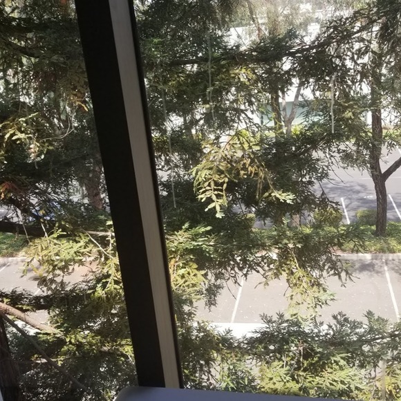 Meet your Posher, M - Picture 1 of 1